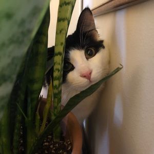 Meet your Posher, Madeline